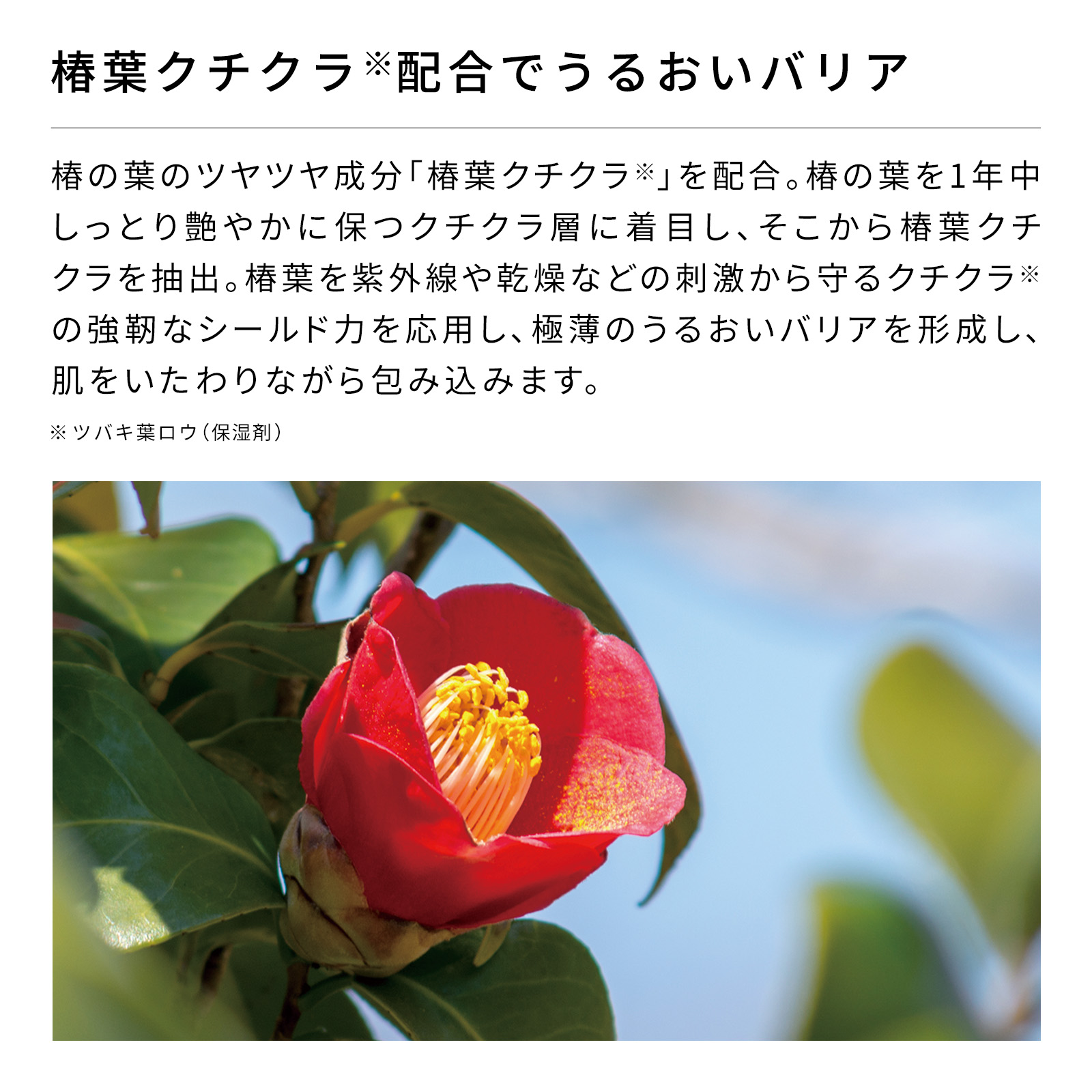 楽天市場】リファビューテックボディウォッシュ 500ml ボディソープ