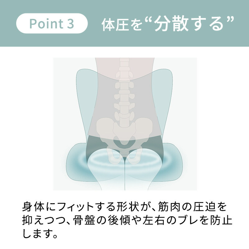 楽天市場】スタイルプレミアム デラックス Style PREMIUM DX ギフト