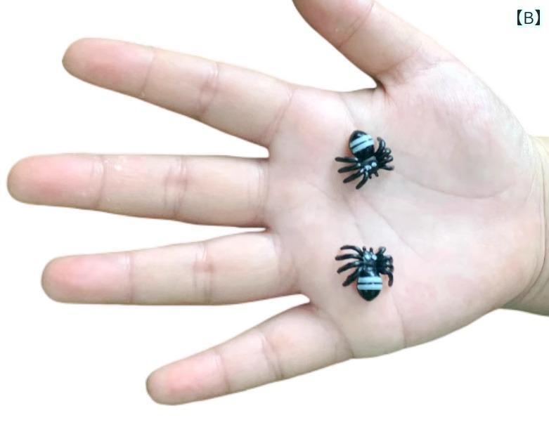 楽天市場】リアル 虫 おもちゃ 蜘蛛 クモ スパイダーフィギュア