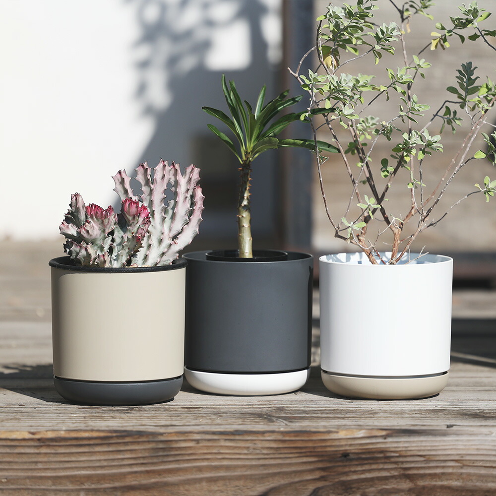 楽天市場】ポット プランター 植木鉢 エコ リサイクル SGI ( エスジー