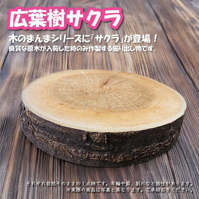 楽天市場】【ITTENMONOシリーズ 木のまんま】1枚 ディスプレイ用 丸太