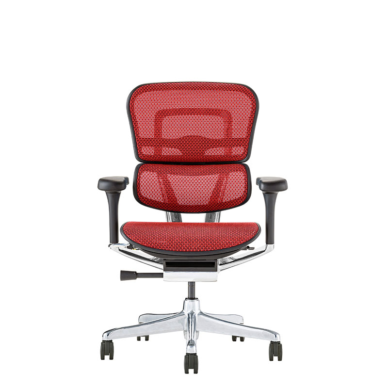 楽天市場】エルゴヒューマン プロ2 ロータイプ DR 新基盤 ダブル