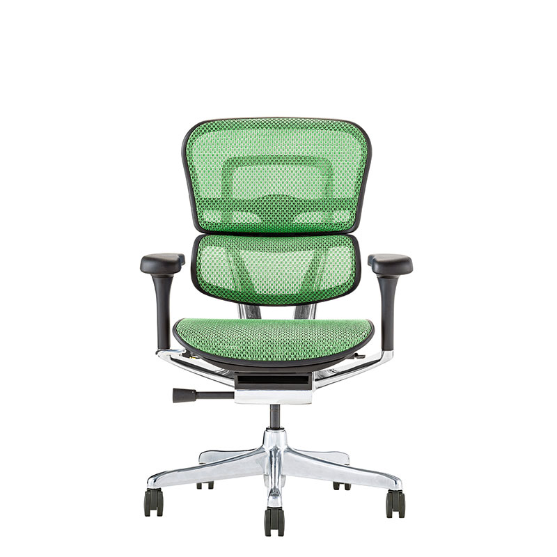 楽天市場】エルゴヒューマン プロ2 ロータイプ DR 新基盤 ダブル