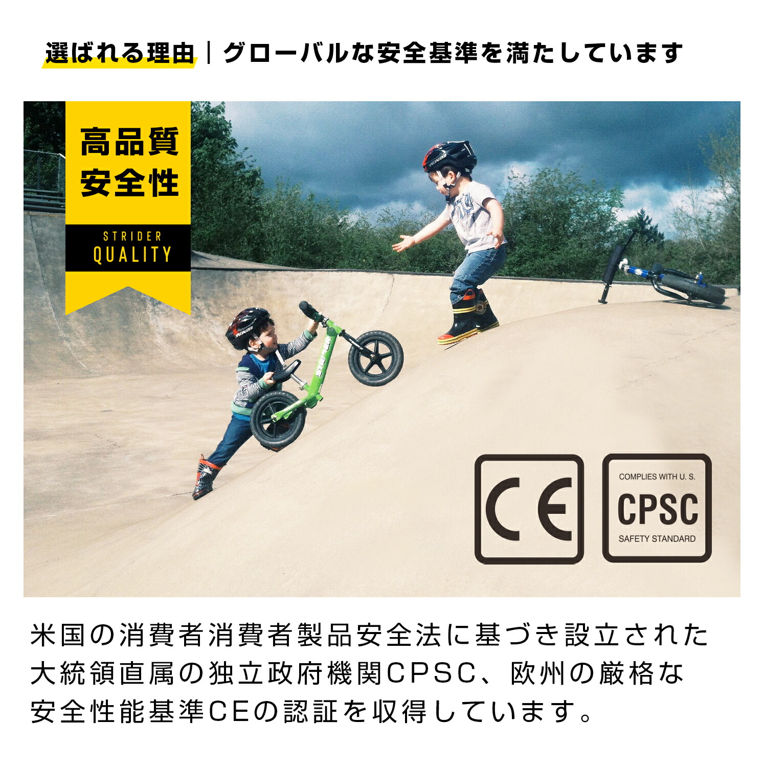 楽天市場】3月下旬入荷予定【春キャンペーン開催中】 【楽天1位連続