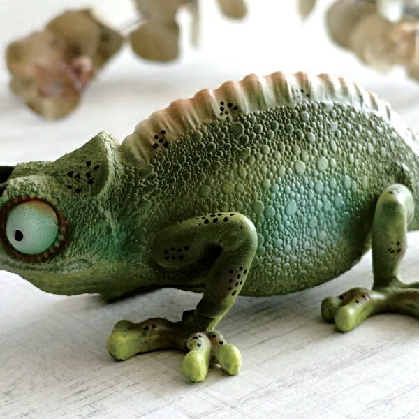 楽天市場】カメレオン 置物 おしゃれ オブジェ 雑貨 かっこいい 置き物