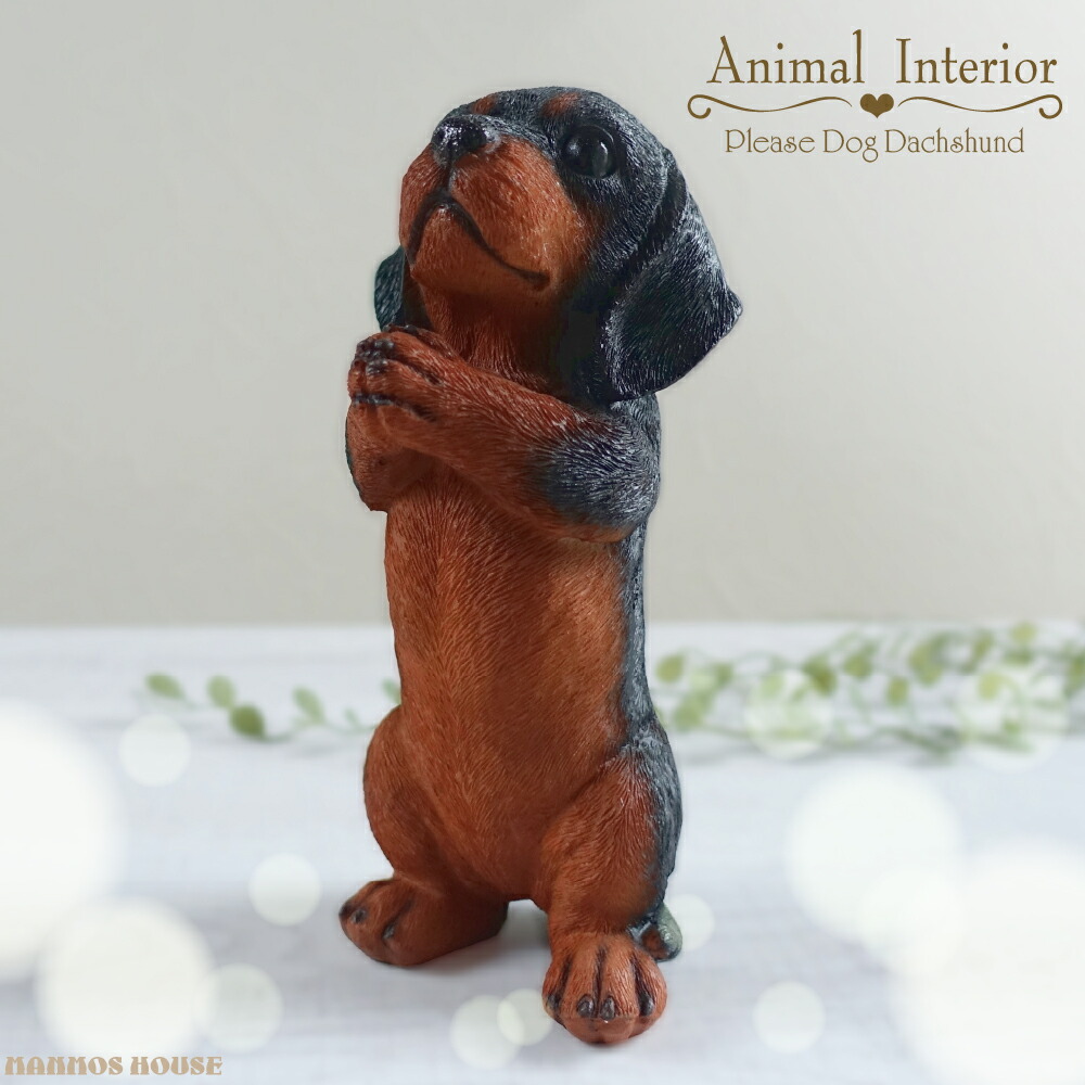 楽天市場】おねだり ダックスフンド 置物 オブジェ かわいい お願い