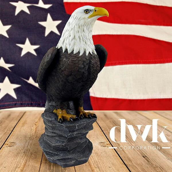 楽天市場】ハクトウワシ オブジェ 高さ24cm □ ワシ 鷲 フィギュア