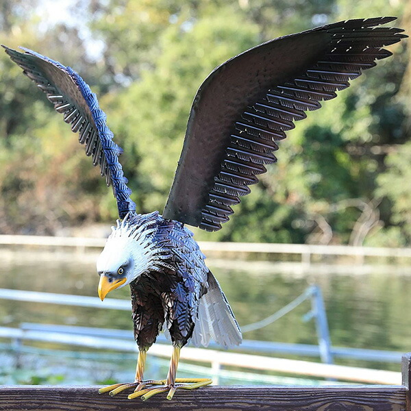 楽天市場】イーグル 鷲 メタル オブジェ 高さ61cm □ ハクトウワシ 鳥