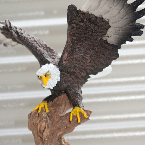 楽天市場】アメリカンイーグル オブジェ・置物 □ 鷲 置物 猛禽類最強