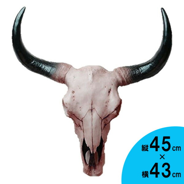 楽天市場】壁掛けオブジェ サウスウエスト ブル スカル ヘッド