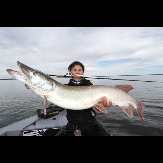 楽天市場】モンスターキス ディアモンスター MX-9S : アングラーズ