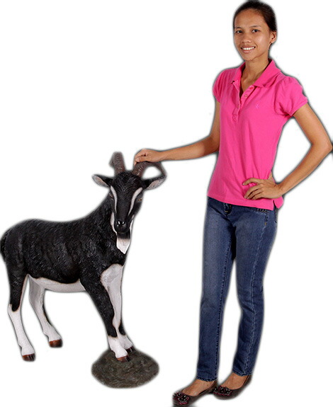 楽天市場】雄ヤギ・ブラック＆ホワイト Billy Goat 強化プラスチック