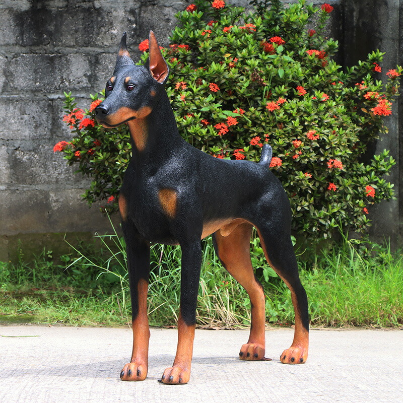 楽天市場】ドーベルマン Standing Doberman 強化プラスチック (FRP