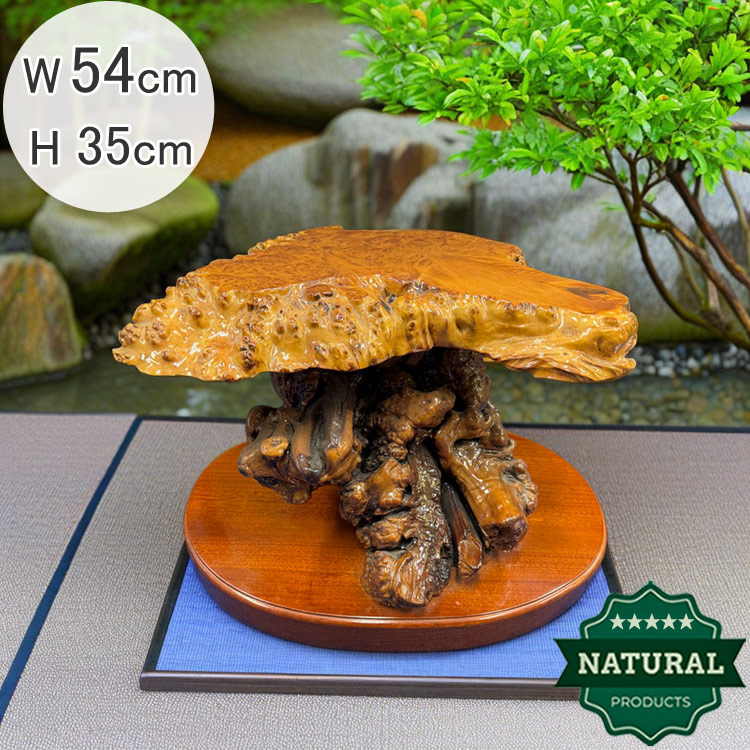 楽天市場】送料無料 木の根 飾り台 W54.5cm 高級 花台 盆栽卓 根卓 飾