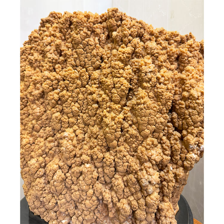 楽天市場】大自然が作り出した唯一無二の神秘な石 鍾乳石 【25】 高さ