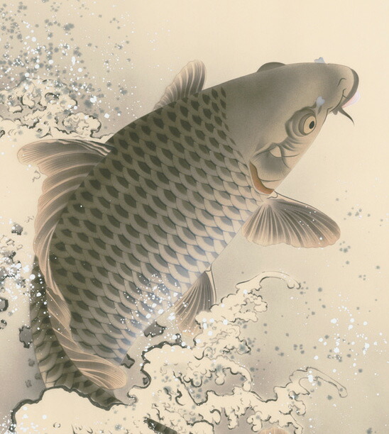 楽天市場】掛け軸／掛軸【鯉】大昇鯉（森山 観月）【送料無料】【代引