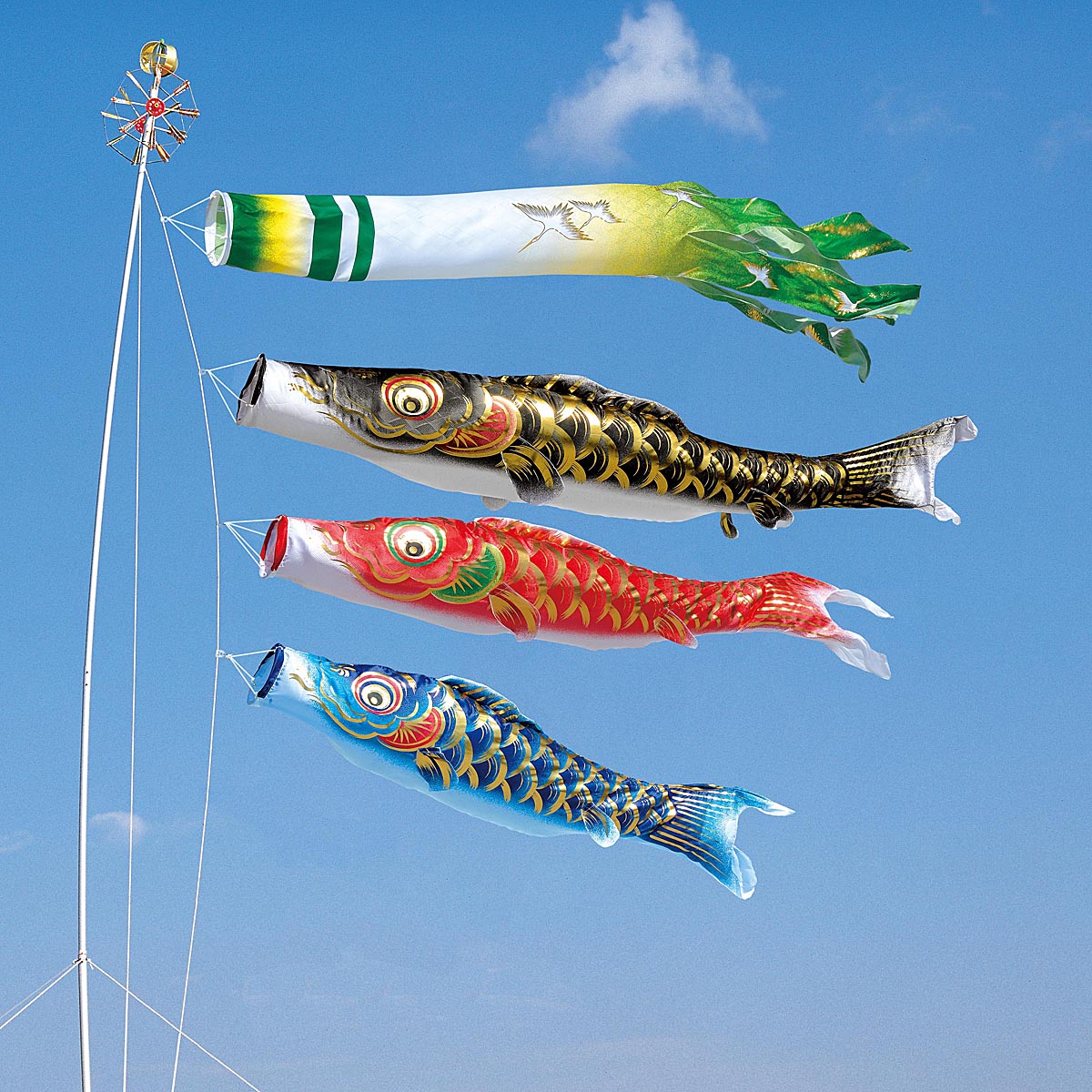 楽天市場】鯉のぼり 庭用 凛風 3m 6点 庭園用 大型セット/ポール別売り