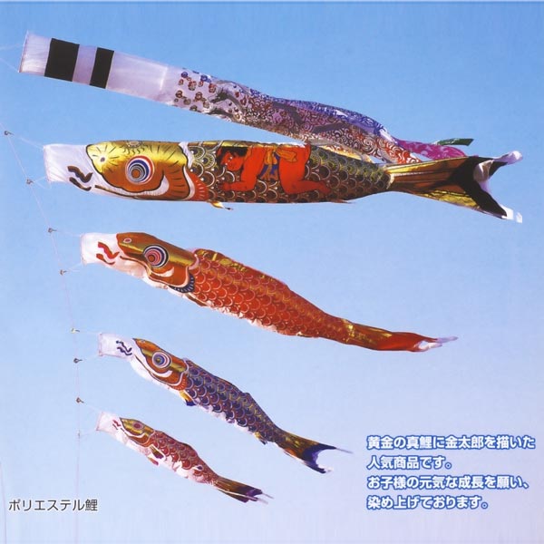 鯉のぼりフジサワ6M金太郎黄金鯉
