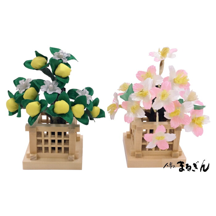 楽天市場】☆3/6〜SS中ポ10倍☆【桜橘セット】特製1号 木製井垣 【高