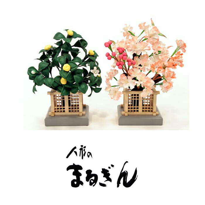 楽天市場】【桜橘セット】30号京高桜【高さおよそ25cm】雛道具 雛道具