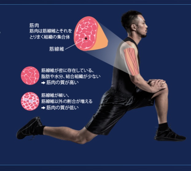 楽天市場】【完売】【送料無料】TANITA タニタ 体重計 体組成計