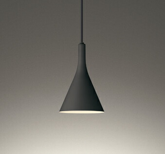 楽天市場】オーデリック ペンダントライト 【OP273029LR】【OP 273