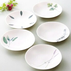 楽天市場】LA AMYS ラ・エミーズ ファイブプレートセット（15.5