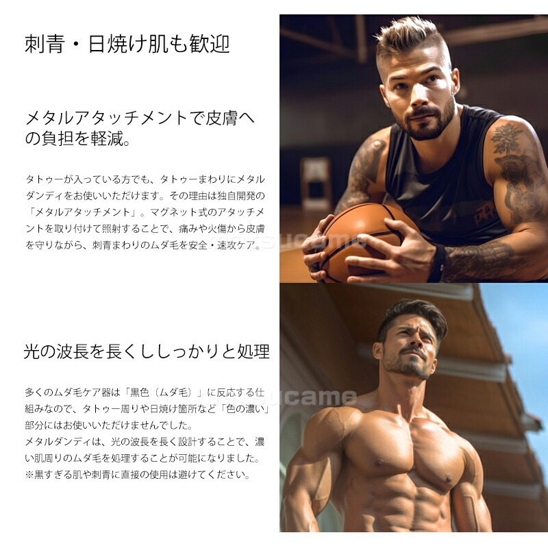 楽天市場】【P最大47倍&クーポン】メタルダンディ metaldandy 家庭用