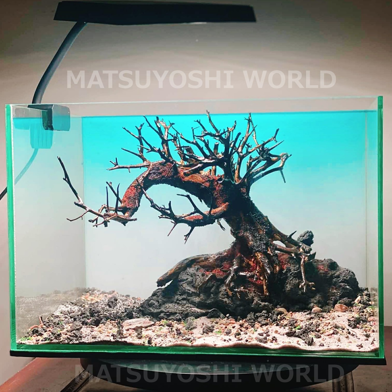 楽天市場】【エントリーで最大100％ポイントバック】【お買い得・送料