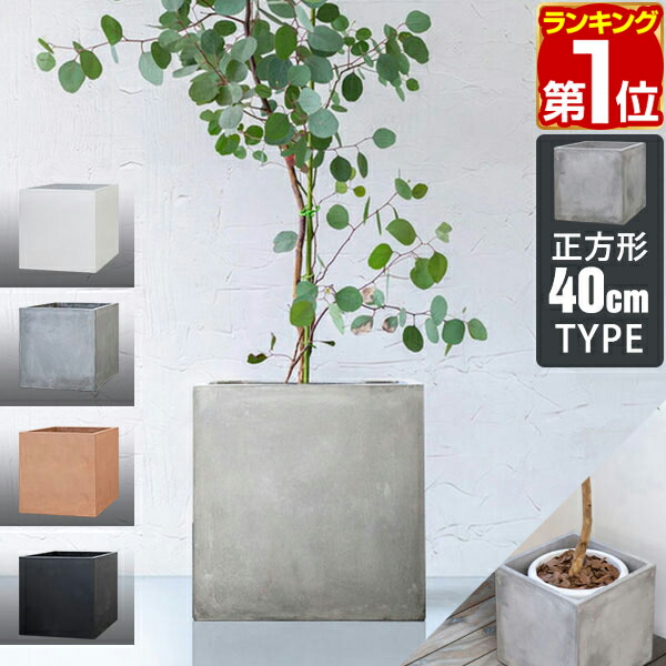 楽天市場】【7,150円→SALE6,490円〜3/11(水)01:59まで】【楽天1位