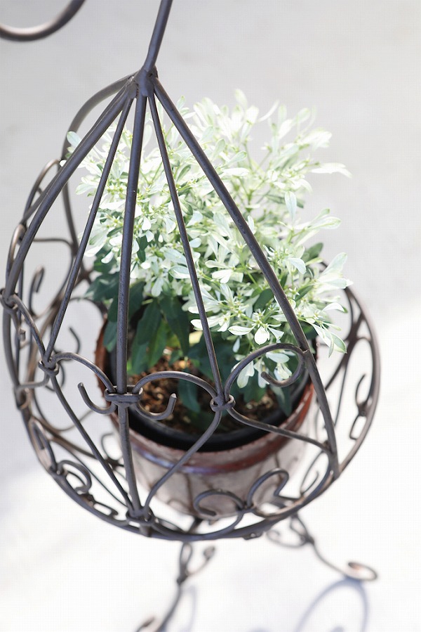 楽天市場】【特典付き】 ラスティ・フラワースタンド S ガーデン