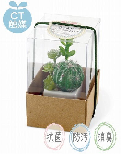 楽天市場】サキュレントリフレリウム 消臭アーティフィシャルグリーン