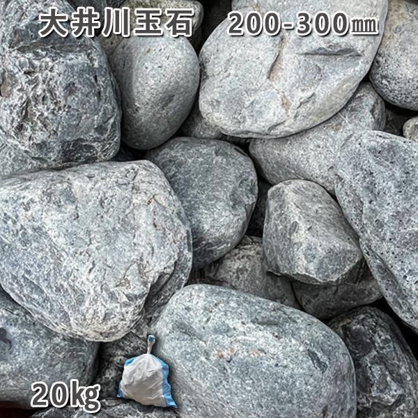 楽天市場】庭石 自然石 国産石 川石 大井川玉石（200〜300mm）2〜3個