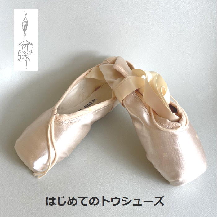 楽天市場】【スーパーセール全品P5倍】 はじめてのトウシューズ【綜芸
