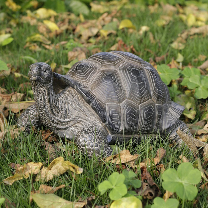 楽天市場】置物 頭をあげるカメ 中 亀グッズ 高さ17.5cm woobia