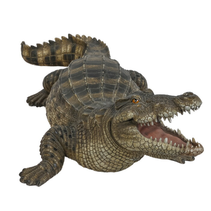 楽天市場】置物 威嚇するワニ 高さ18.5cm woobia ウービア 大きい