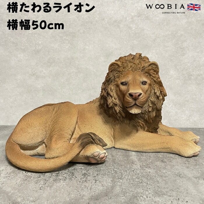 楽天市場】置物 横たわるライオン 高さ25cm woobia ウービア 大きい