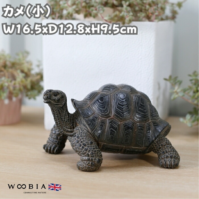 楽天市場】かわいい 亀の置物 カメ 小 woobia ウービア おしゃれ