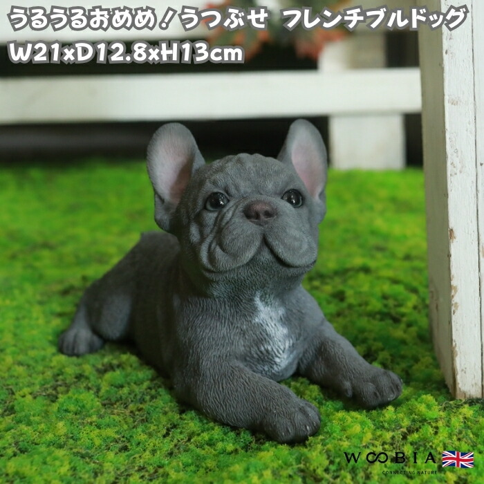 楽天市場】かわいい 犬 置物 高さ13cm フレンチブルドッグ woobia