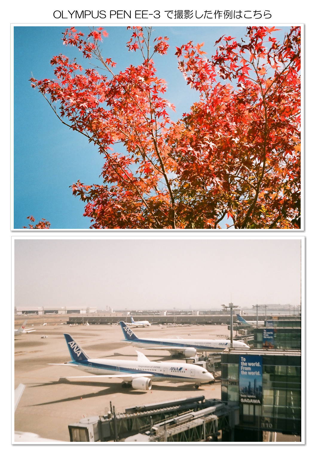 楽天市場】【整備済】【保証付 】 オリンパス OLYMPUS PEN EE-3 S/N