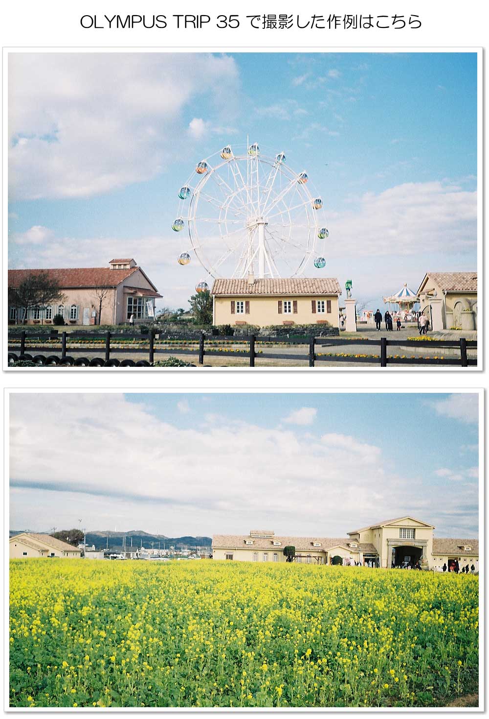 楽天市場】【整備済】【保証付】 オリンパス OLYMPUS TRIP 35 S/N