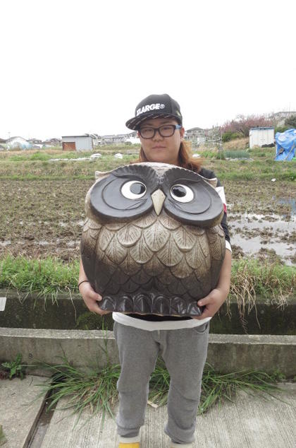 楽天市場】新築のお祝いや 自宅のお庭に ふくろう 置物 ガーデニング