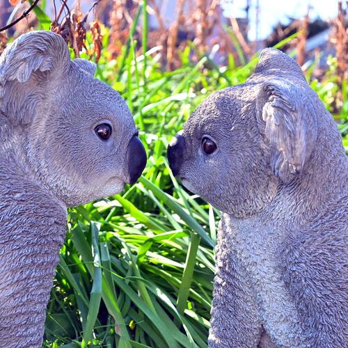 楽天市場】コアラ リアルなコアラ 2つセットコアラの置物 置物