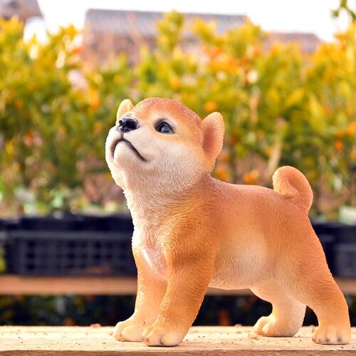 楽天市場】秋田犬置物 かわいい置物 犬の置物秋田犬 あずきちゃんお庭