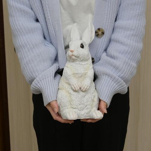 楽天市場】2026年4月頃入荷予定。 しろうさ 白いうさぎ ラビットうさぎ