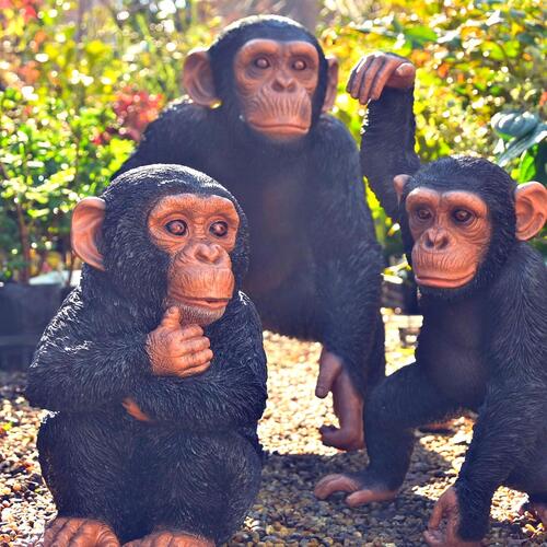 楽天市場】チンパンジーの置物 3つセット桶狭間かんぺい みかん お