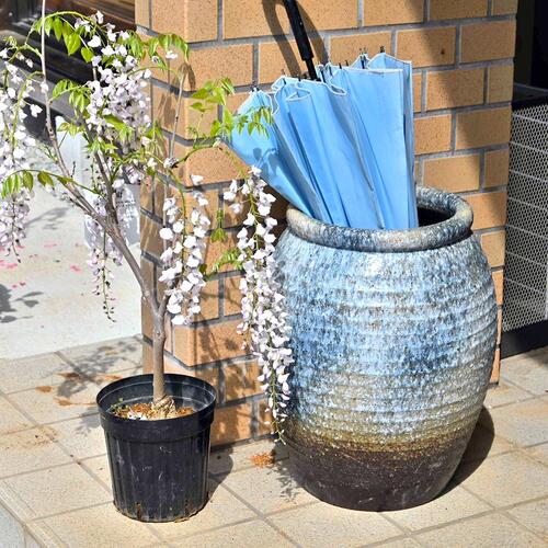 楽天市場】信楽焼 花瓶 傘立て和風 傘たて 置物信楽焼き 陶器 かびん