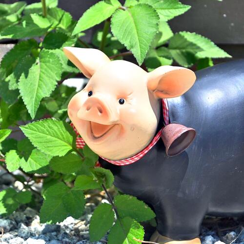 楽天市場】トンちゃん黒板 ぶたさん置物 ぶたの置物黒板 ぶた 笑顔の