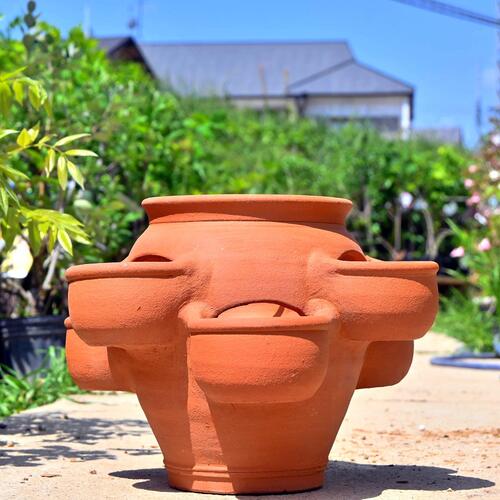 楽天市場】ストロベリーポット 大テラコッタ 素焼き 鉢苺 ストロベリー