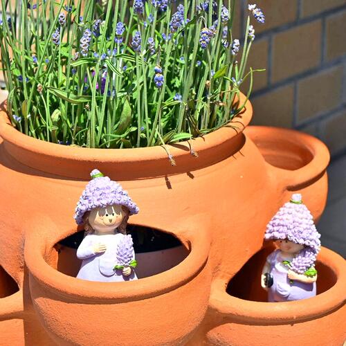 楽天市場】ストロベリーポット 大テラコッタ 素焼き 鉢苺 ストロベリー